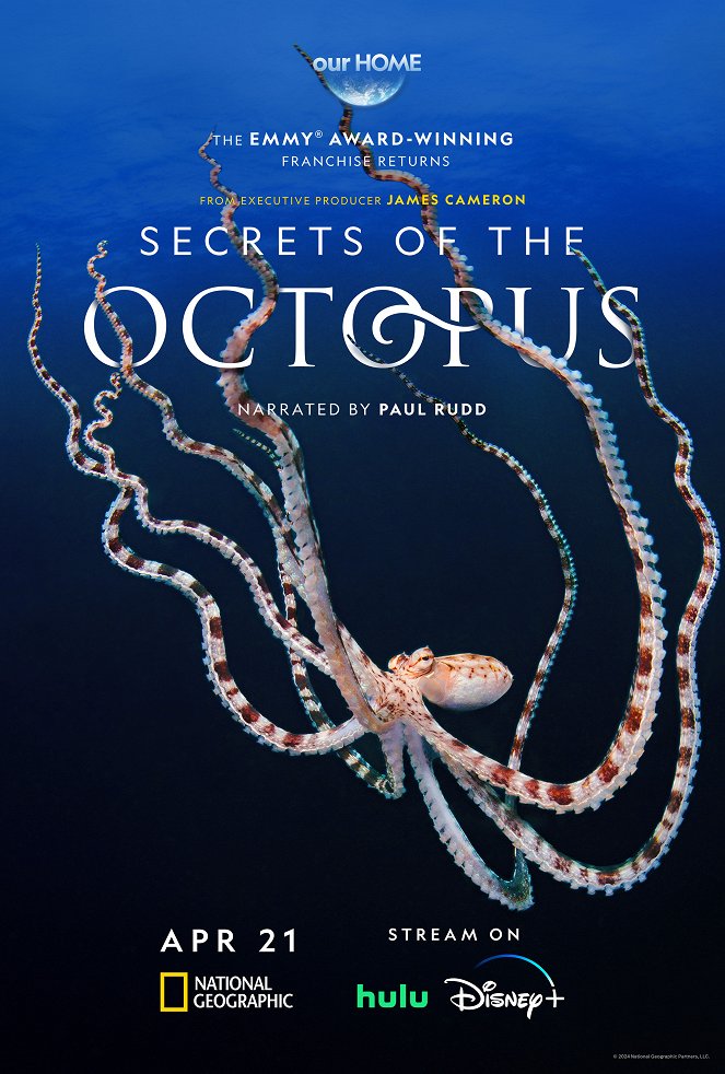 Secrets of the Octopus - Cartazes
