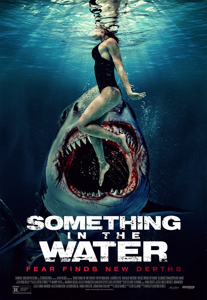 Something in the Water - Posters