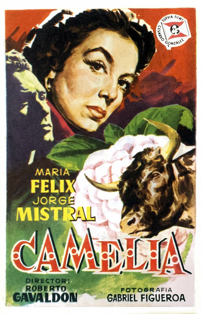 Camelia - Affiches
