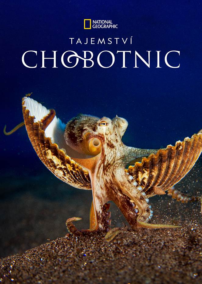 Tajemství chobotnic - Plakáty