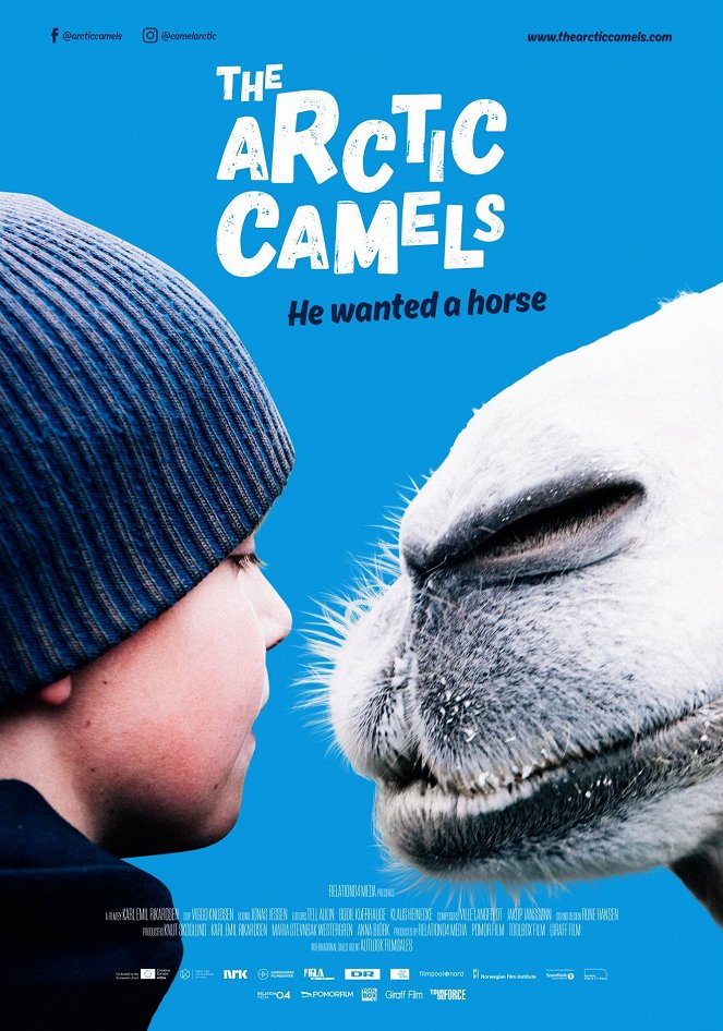 Bur und Bestla - 2 Kamele am Polarkreis - Plakate