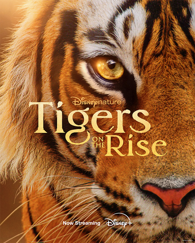 Tigers on the Rise - Plakate