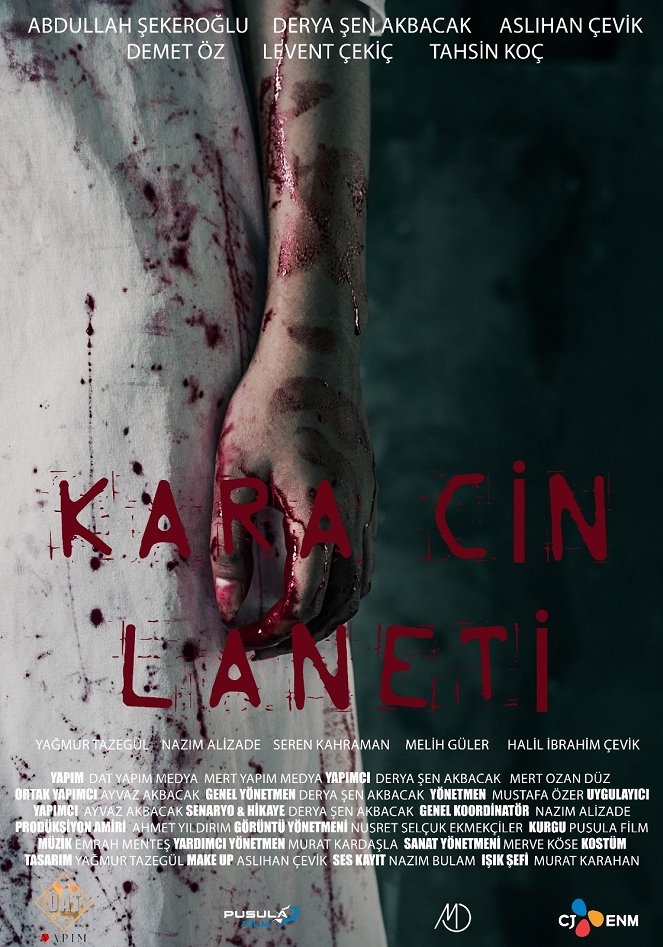 Kara Cin Laneti - Plakaty