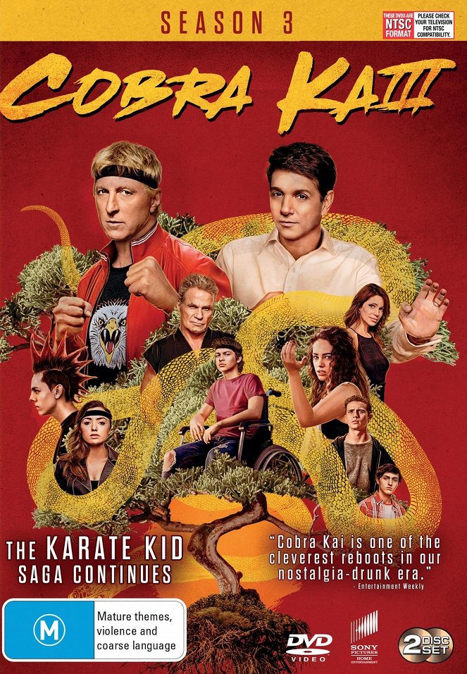 Cobra Kai - Season 3 - Posters