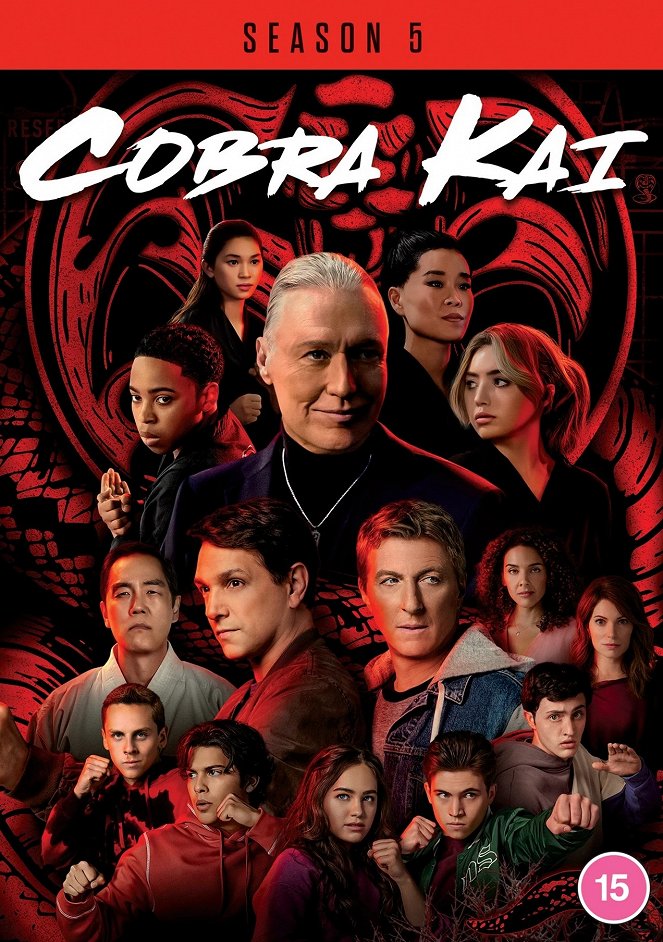 Cobra Kai - Season 5 - Posters