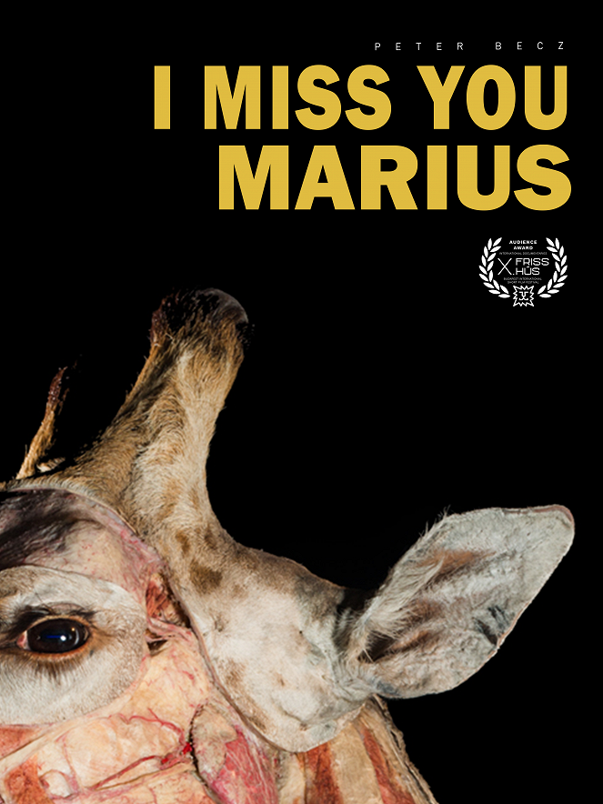 Hiányzol, Marius - Affiches