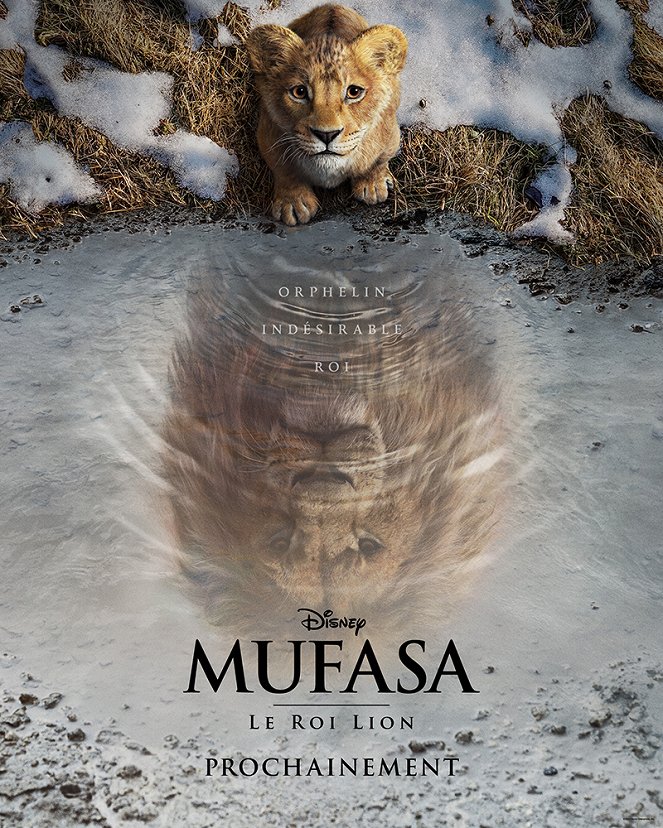 Mufasa : Le roi lion - Affiches