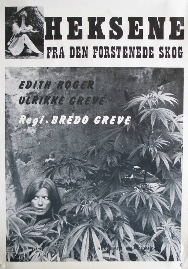 Heksene fra den forstenede skog - Posters