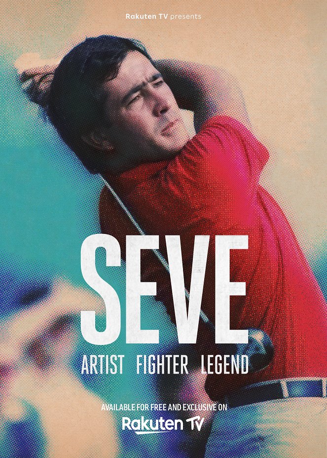 SEVE Artist Fighter Legend - Plakaty