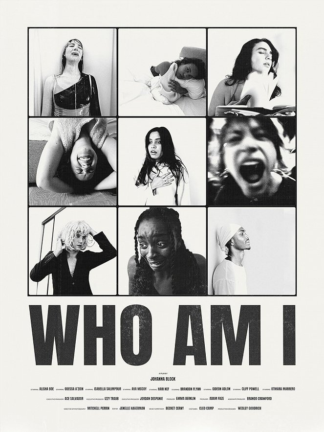 Who Am I - Posters