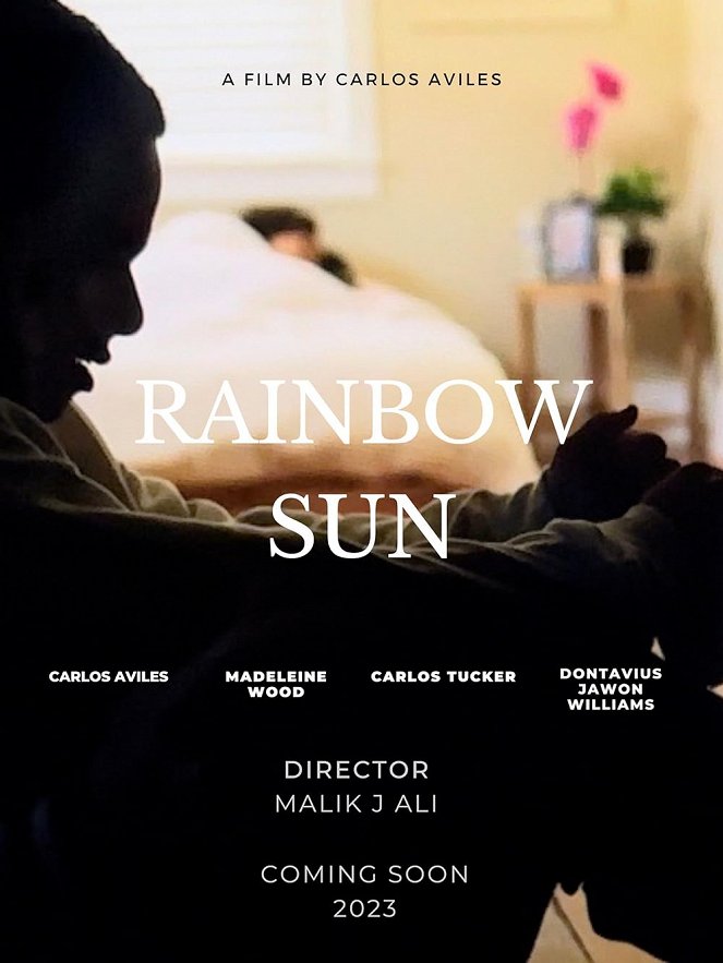 Rainbow Sun - Posters