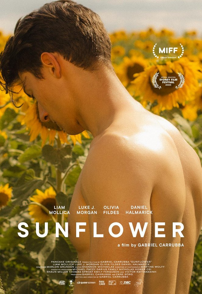 Sunflower - Affiches