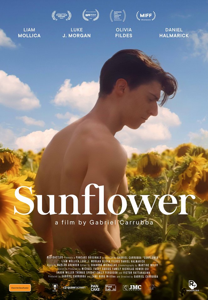 Sunflower - Plakaty