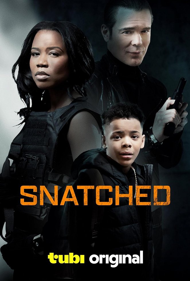 Snatched - Plagáty