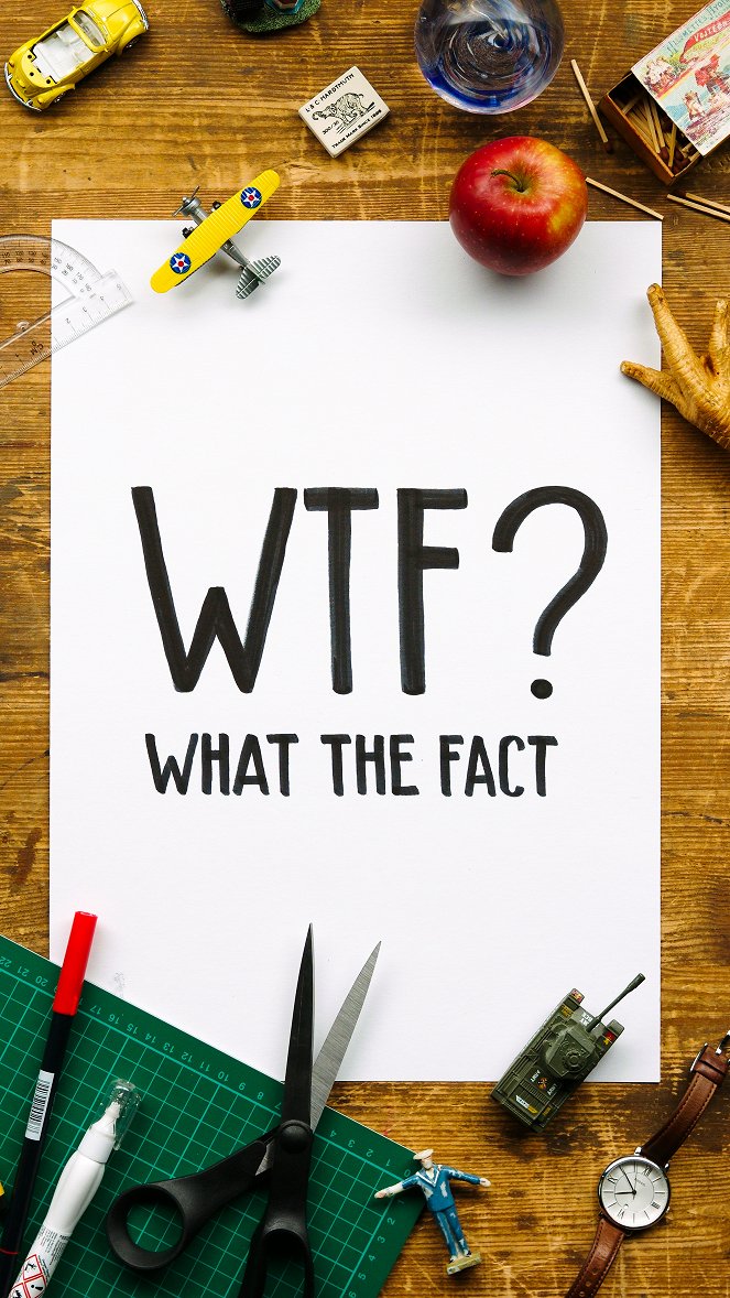 What the Fact? - Plakátok
