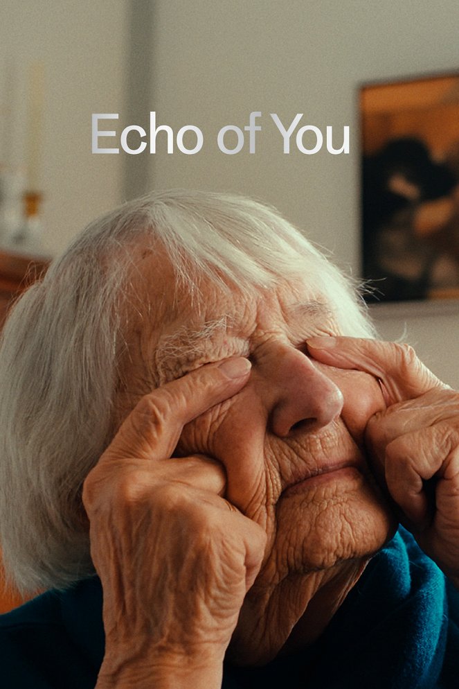 Echo of You - Carteles