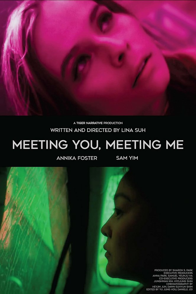 Meeting You, Meeting Me - Affiches
