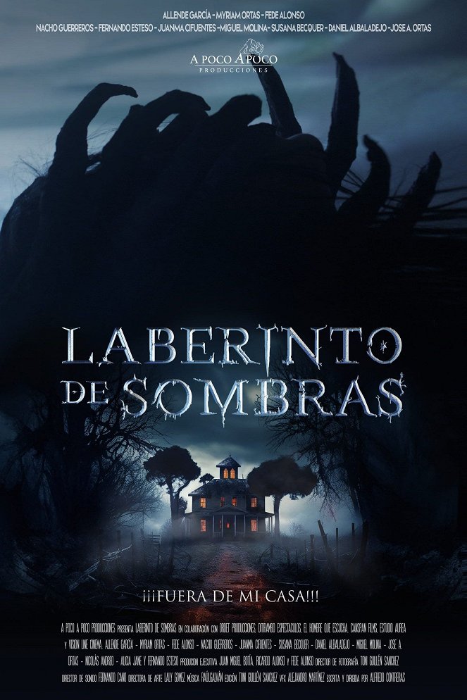 Laberinto de sombras - Plakaty