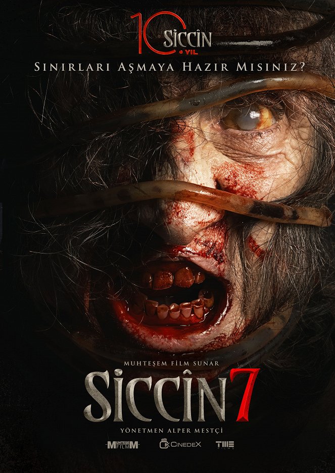 Siccin 7 - Plakate