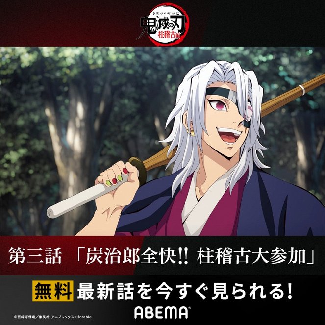 Demon Slayer - Demon Slayer - Fully Recovered Tanjiro Joins the Hashira Training!! - Posters