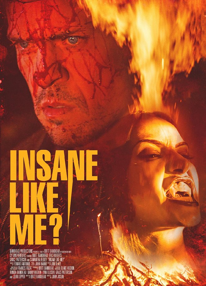 Insane Like Me? - Posters