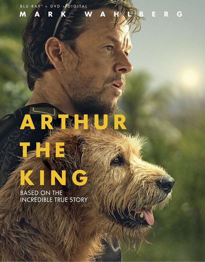Arthur the King - Affiches
