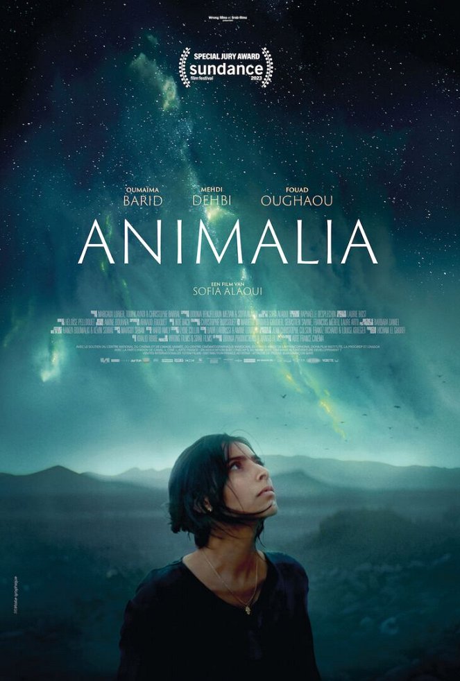 Animalia - Posters