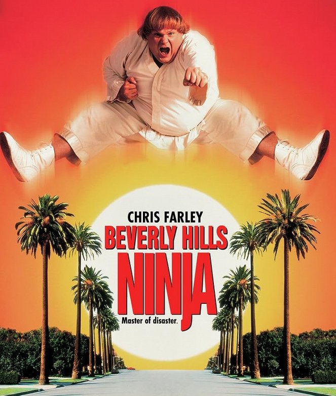 Beverly Hills Ninja - Die Kampfwurst - Plakate