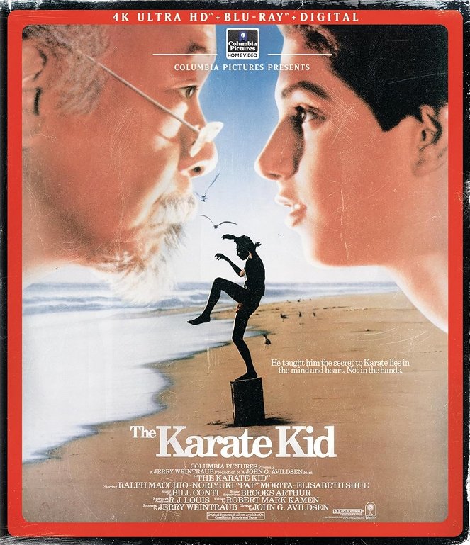 Sanningens ögonblick - Karate Kid - Julisteet