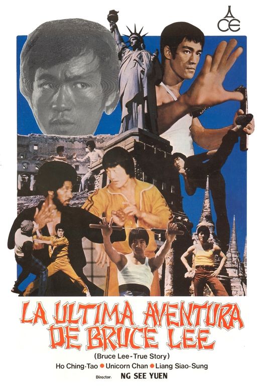 La última aventura de Bruce Lee - Carteles
