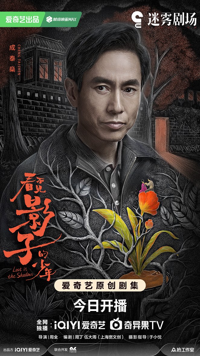 Kan bu jian ying zi de shao nian - Plakáty