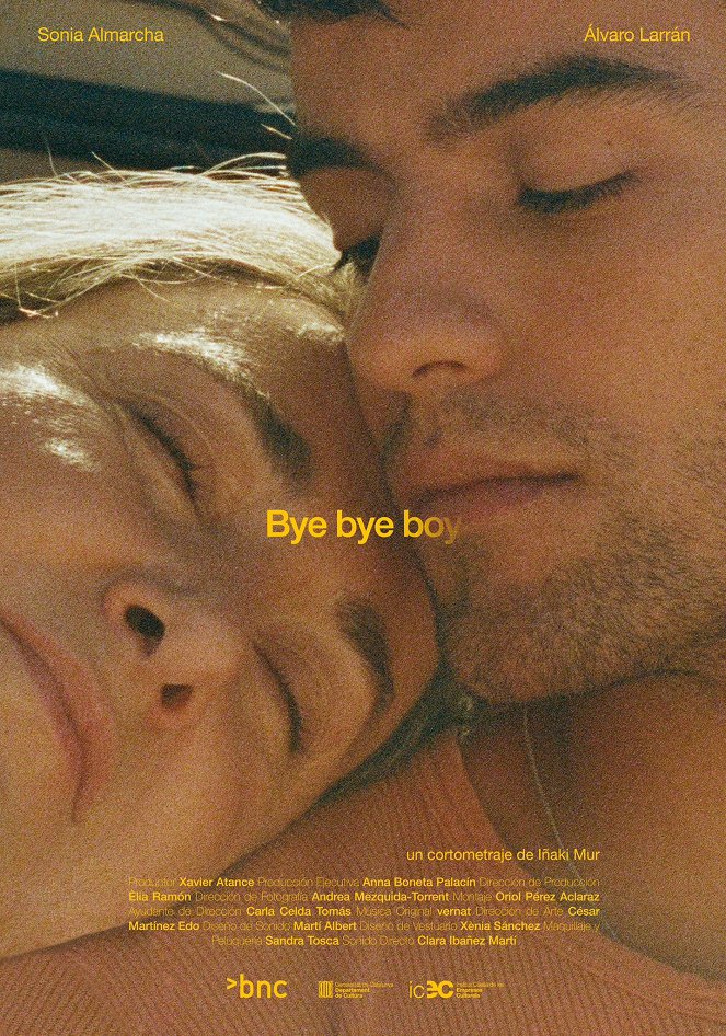 Bye Bye Boy - Plagáty