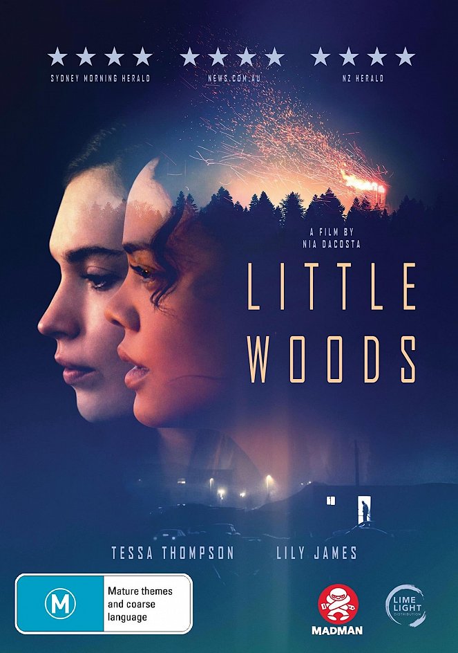 Little Woods - Posters