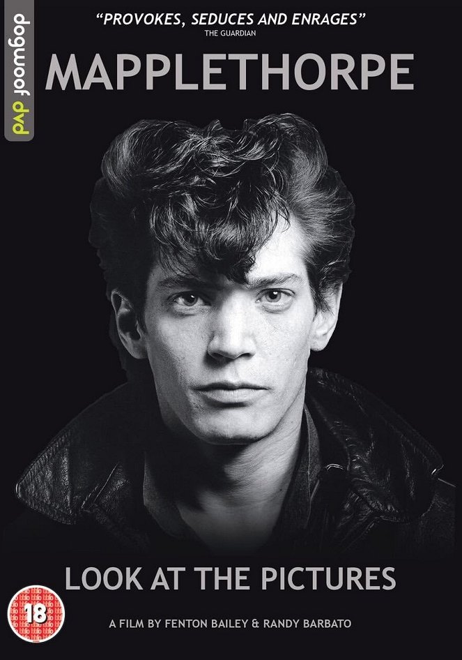 Mapplethorpe: Look at the Pictures - Posters