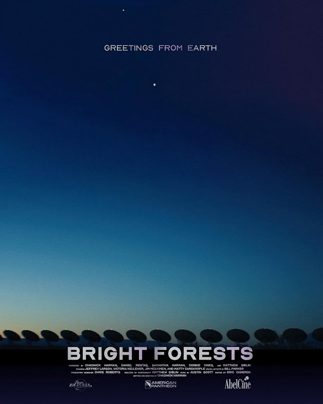 Bright Forests - Plakáty