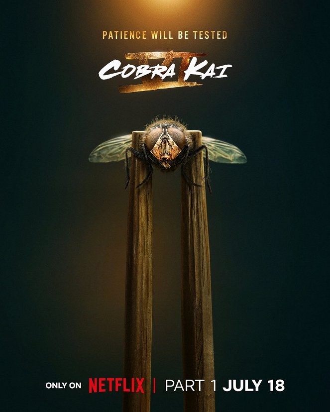 Cobra Kai - Série 6 - Plakáty