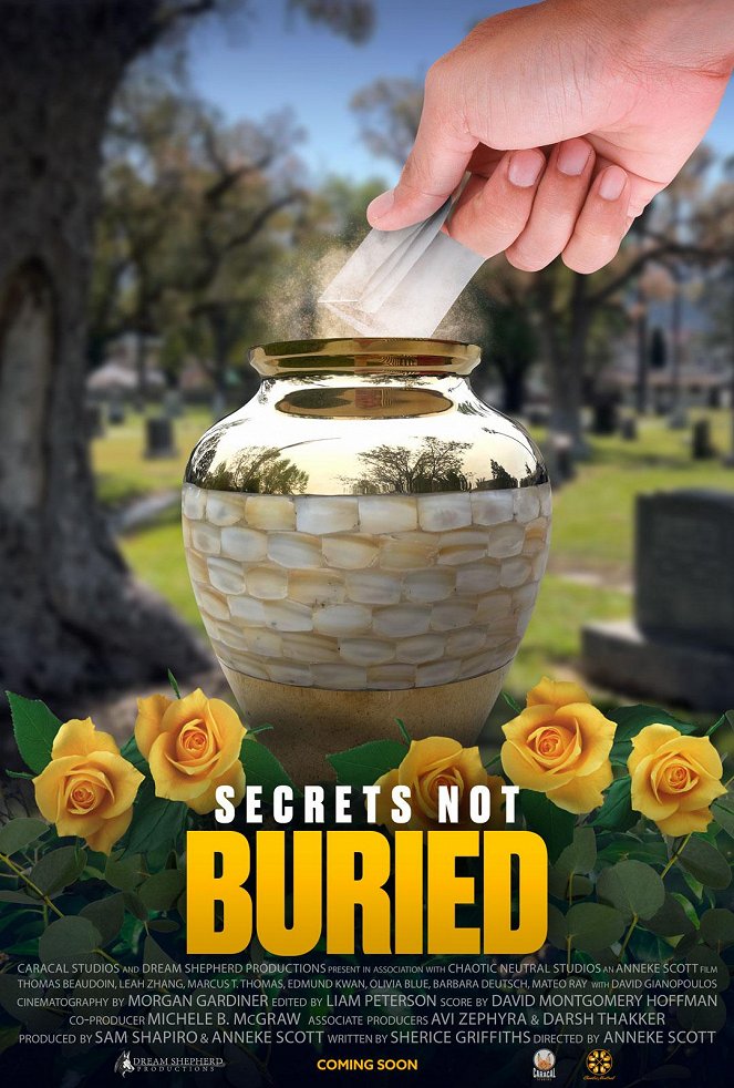 Secrets Not Buried - Cartazes