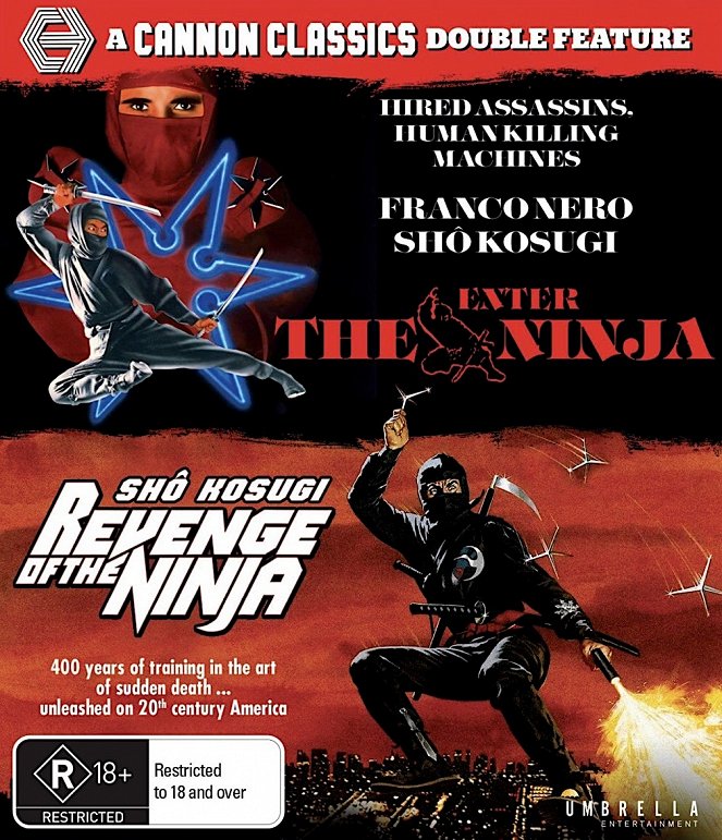 Enter the Ninja - Posters