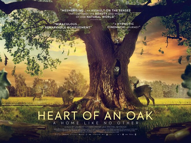 Heart of Oak - Posters