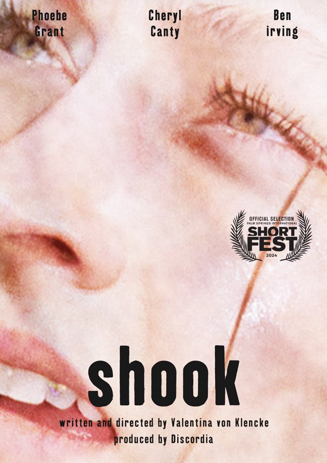 Shook - Carteles