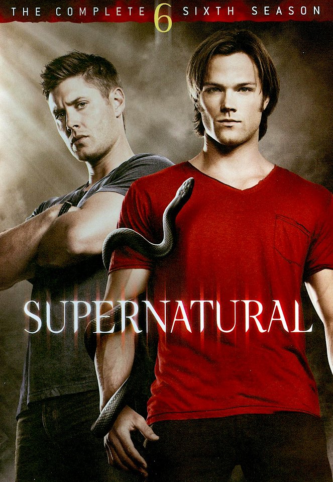 Surnaturel - Supernatural - Season 6 - Posters