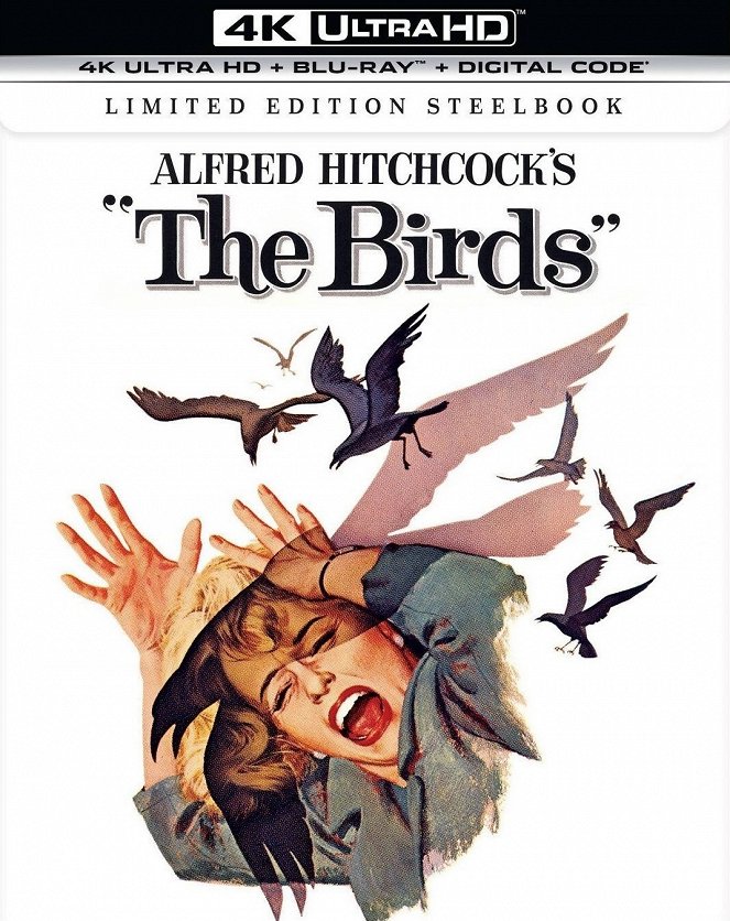 Os Pássaros - Cartazes