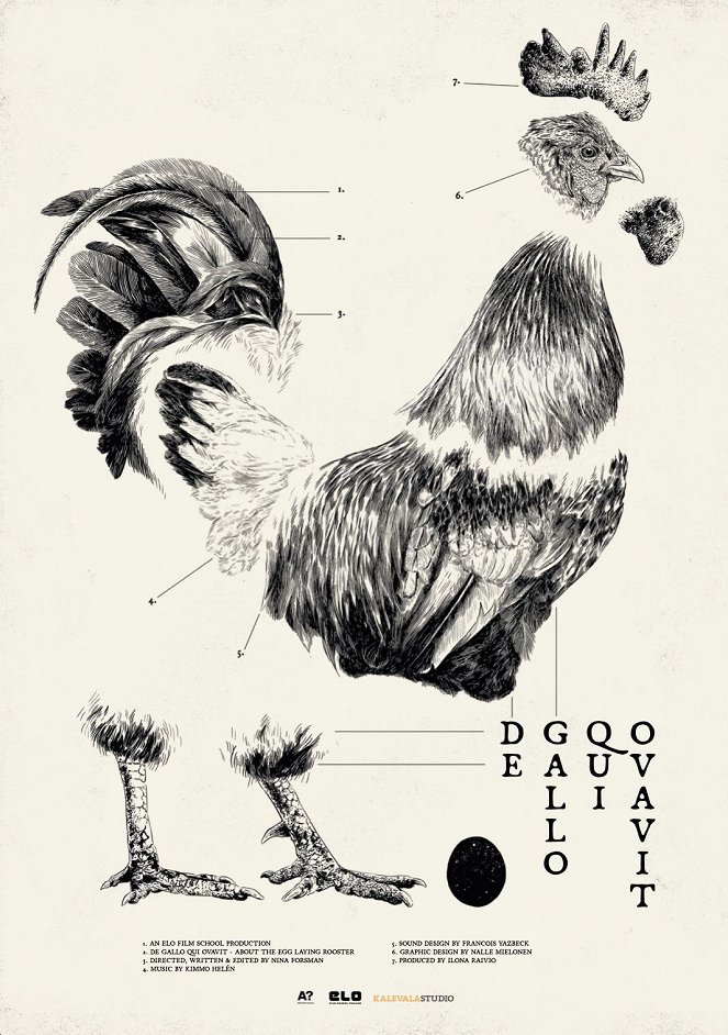 De gallo qui ovavit - Posters