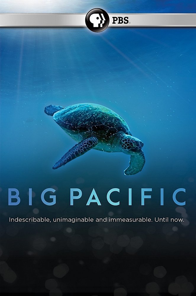 Big Pacific - Plakate