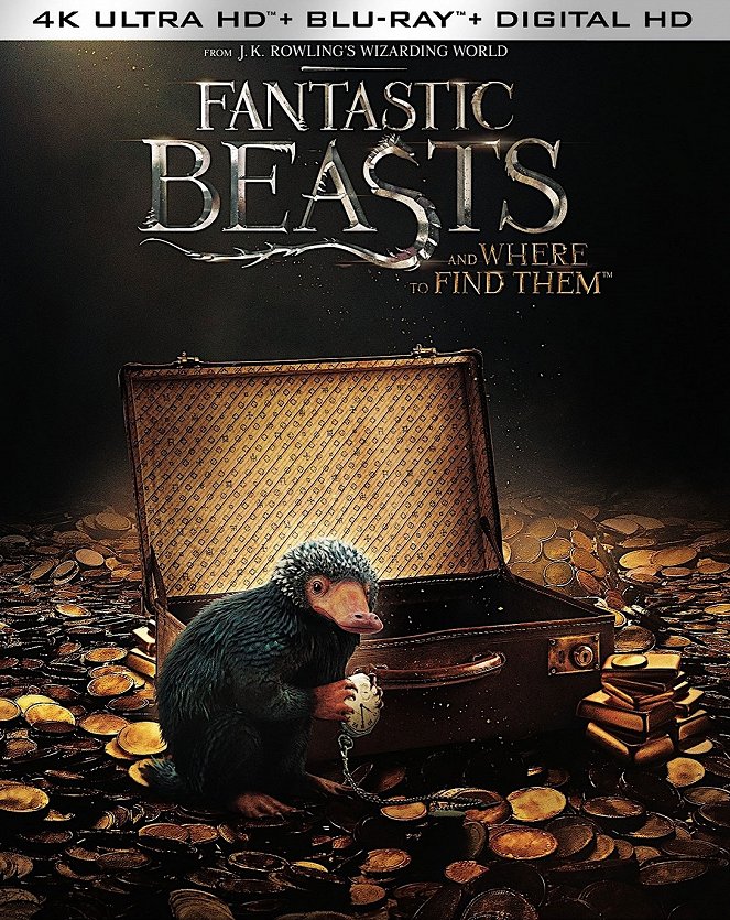 Fantastic Beasts and Where to Find Them - Posters