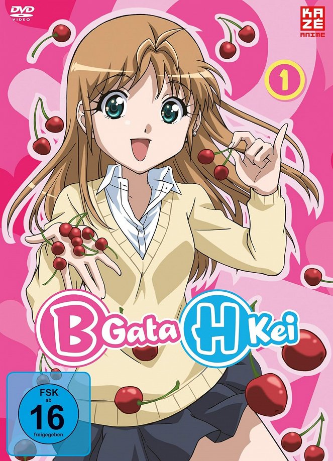 B gata H kei - Plakate