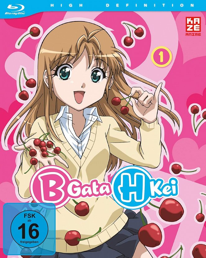 B gata H kei - Plakate