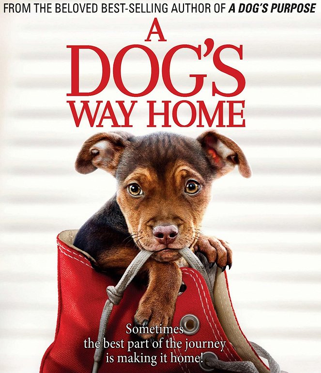 A Dog's Way Home - Julisteet