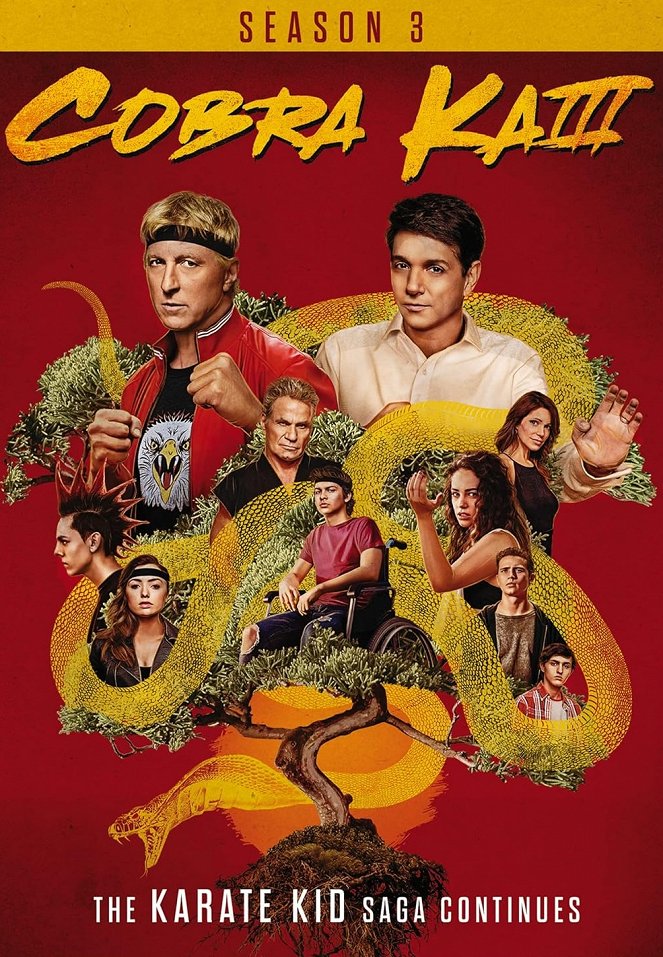 Cobra Kai - Cobra Kai - Season 3 - Plakate