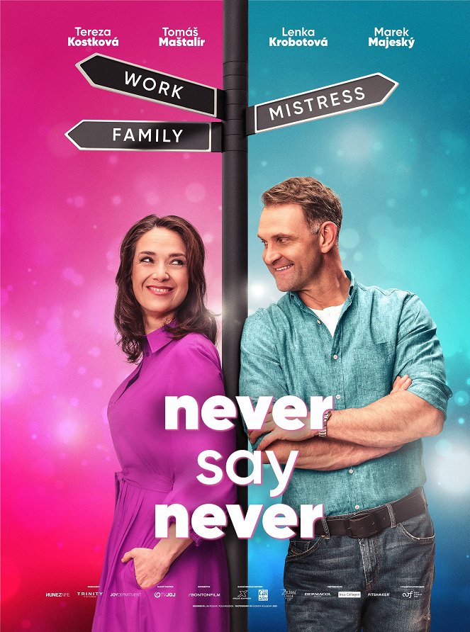 Never Say Never - Posters